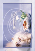 Cats and Dogs Wholesale Greeting Cards