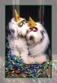 Cats and Dogs Wholesale Greeting Cards